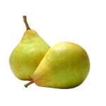 Груша