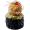 Акції